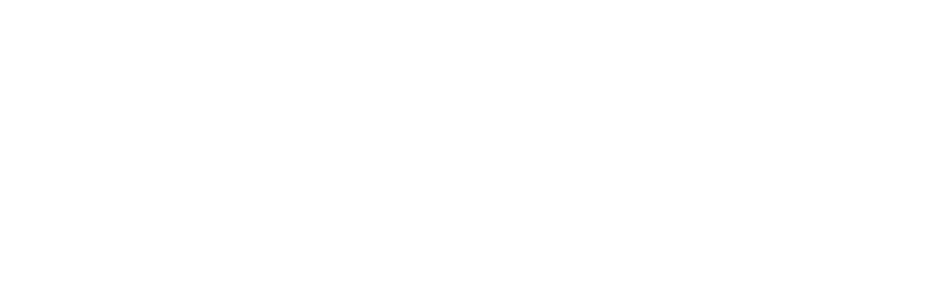 Instituto Nacional do Seguro Social
